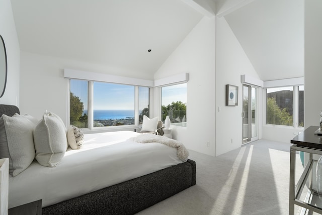 743 Alturas Del Sol, Santa Barbara, CA 93103 - photo 15