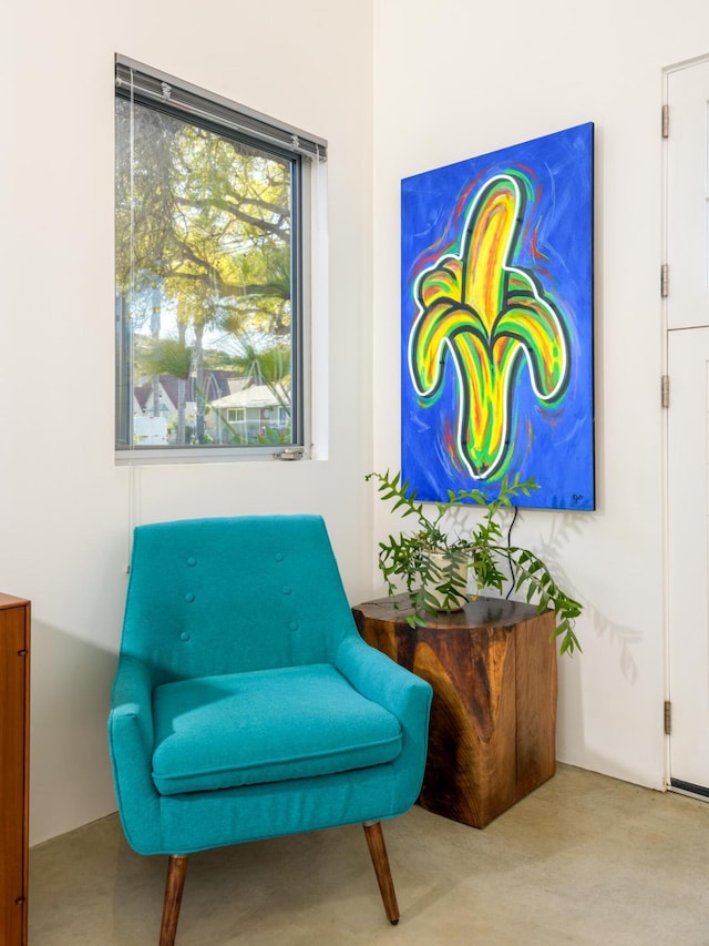 903 W Mission St, Santa Barbara, CA 93101 - view of living area