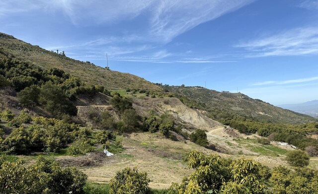 5550 Casitas Pass Rd, Ventura, CA 93001 - photo 5