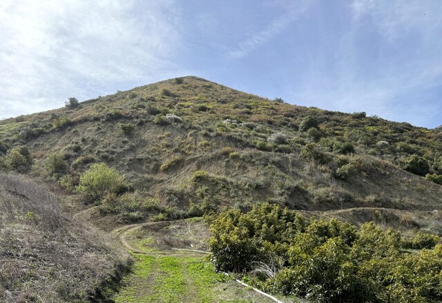 5550 Casitas Pass Rd, Ventura, CA 93001 - photo 6