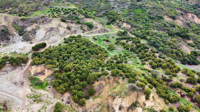 5550 Casitas Pass Rd, Ventura, CA 93001 - photo 13
