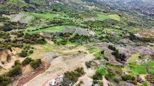 5550 Casitas Pass Rd, Ventura, CA 93001 - photo 14