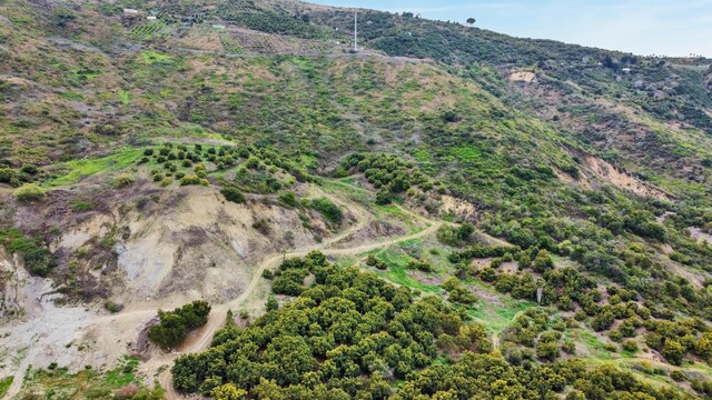 5550 Casitas Pass Rd, Ventura, CA 93001 - photo 18