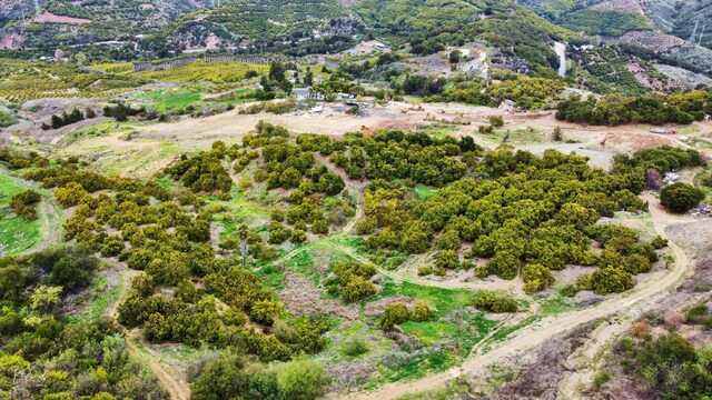 5550 Casitas Pass Rd, Ventura, CA 93001 - photo 21