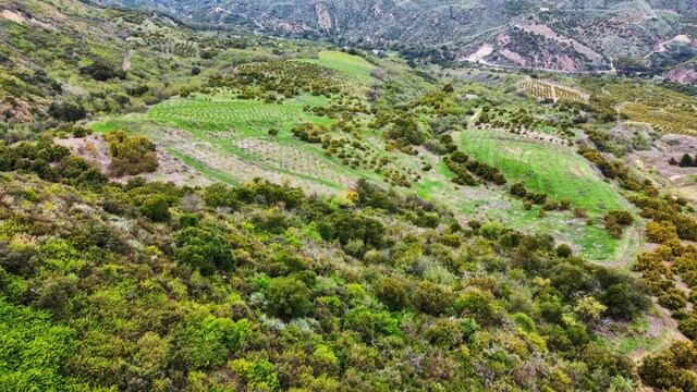 5550 Casitas Pass Rd, Ventura, CA 93001 - photo 22