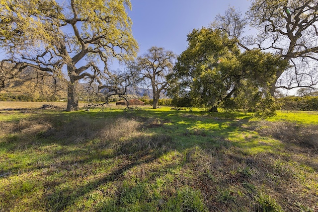 0 Grand Ave, Ojai, CA 93023 - photo 6