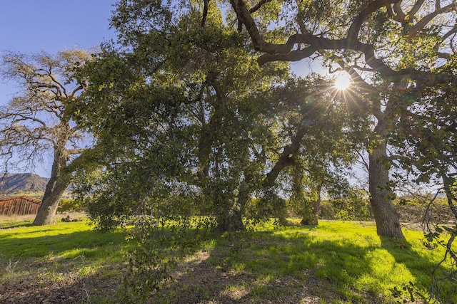 0 Grand Ave, Ojai, CA 93023 - photo 7