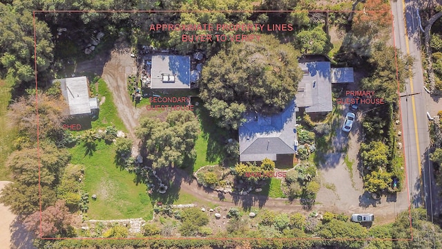 bird's eye view