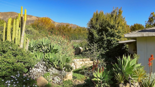 view of local wilderness with a mountain view