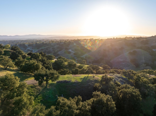 3710 Woodstock Rd, Santa Ynez, CA 93460 - photo 29