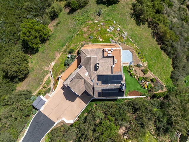 bird's eye view