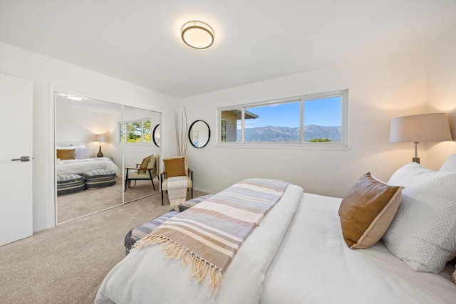 bedroom with carpet floors and a closet