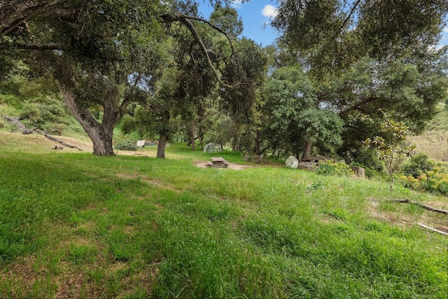 10697 Calle Quebrada, Goleta, CA 93117 - photo 38