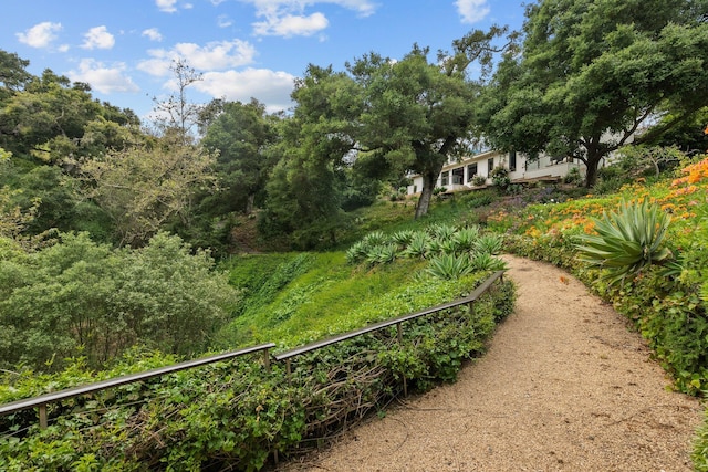 10697 Calle Quebrada, Goleta, CA 93117 - photo 40