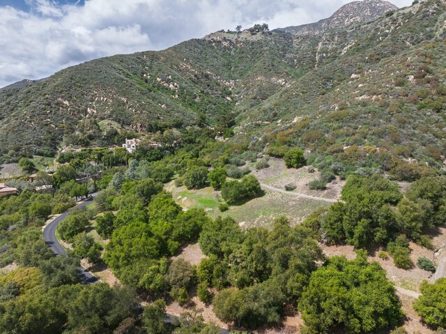 1060 Ladera Ln, Santa Barbara, CA 93108 - mountain view