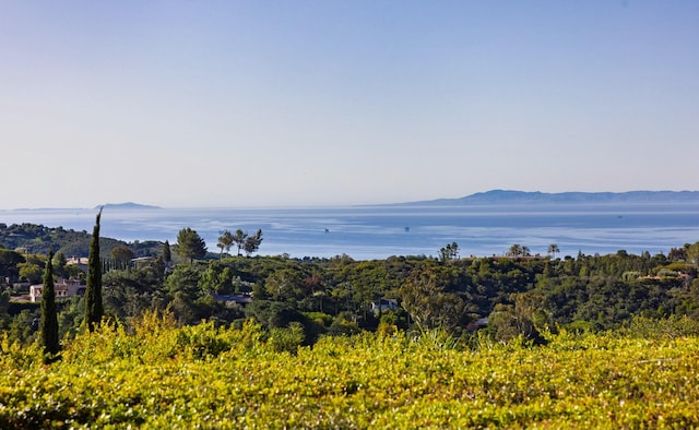 1060 Ladera Ln, Santa Barbara, CA 93108 - view of mountain feature featuring a water view