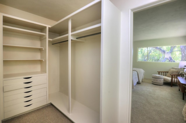 840 Mission Canyon Rd, Santa Barbara, CA 93105 - spacious closet with carpet floors
