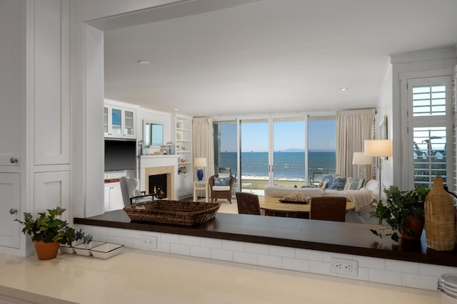 1301 Plaza Pacifica, Santa Barbara, CA 93108 - living area featuring a water view, built in shelves, plenty of natural light, and a lit fireplace