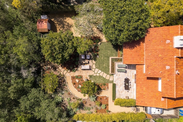 aerial view