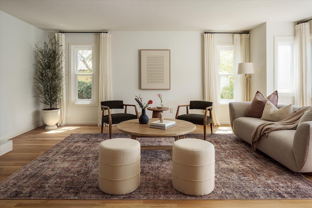 sitting room with baseboards and wood finished floors