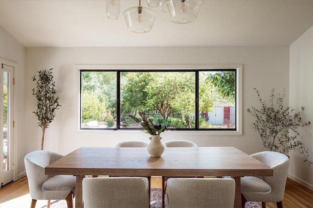 dining space with light wood-type flooring and a healthy amount of sunlight