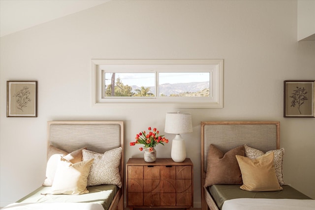 bedroom featuring vaulted ceiling