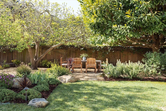 view of yard featuring a patio area and a fenced backyard