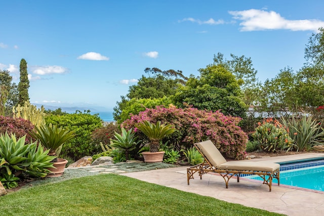 935 Arcady Rd, Santa Barbara, CA 93108 - outdoor pool featuring a patio area, a yard, and fence