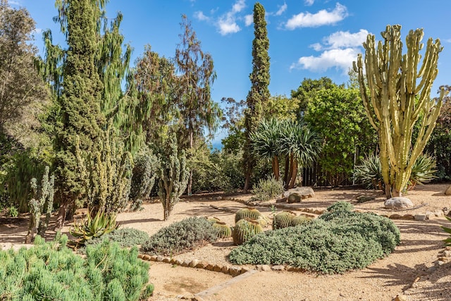 935 Arcady Rd, Santa Barbara, CA 93108 - exterior space