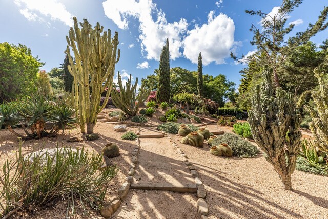 935 Arcady Rd, Santa Barbara, CA 93108 - view of yard