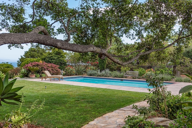 935 Arcady Rd, Santa Barbara, CA 93108 - outdoor pool featuring a patio area, fence, and a lawn