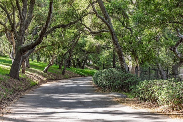 935 Arcady Rd, Santa Barbara, CA 93108 - surrounding community featuring driveway, a forest view, and fence