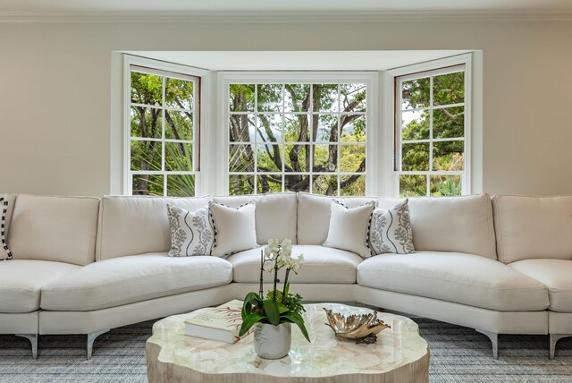 935 Arcady Rd, Santa Barbara, CA 93108 - living area featuring ornamental molding