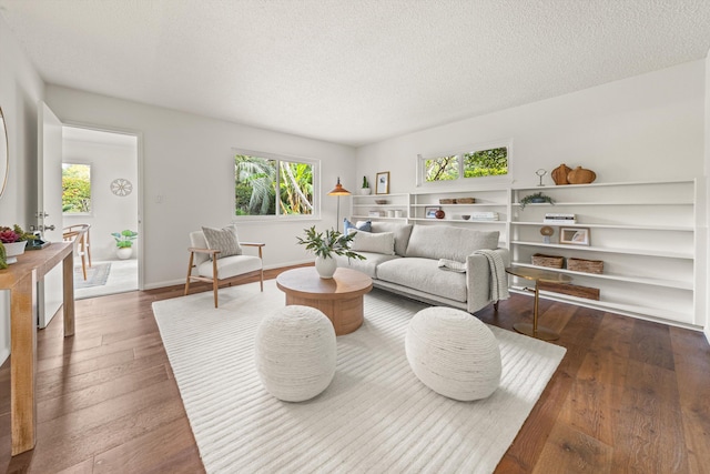 living area featuring a textured ceiling, plenty of natural light, and wood-type flooring
