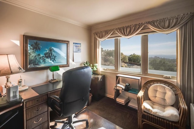 office area featuring ornamental molding and baseboards