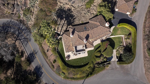 bird's eye view