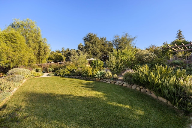 view of yard
