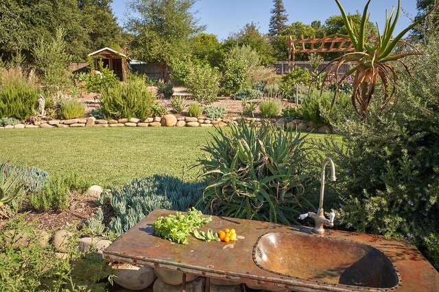 view of yard featuring an outbuilding, a sink, and a shed