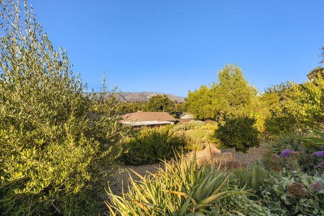 exterior space featuring a mountain view