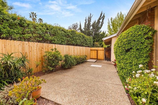 view of yard featuring a patio and fence