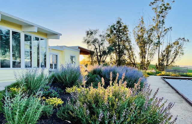 2852 Tapadero Rd, Solvang, CA 93463 - view of yard at dusk
