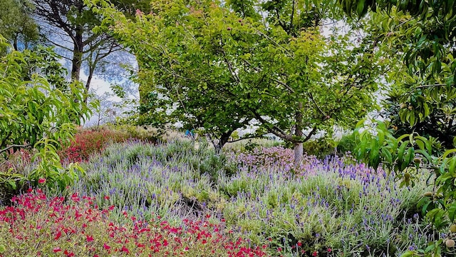 2852 Tapadero Rd, Solvang, CA 93463 - view of local wilderness