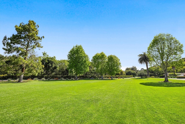 view of home's community featuring a yard