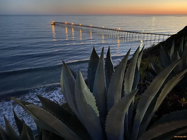 property view of water