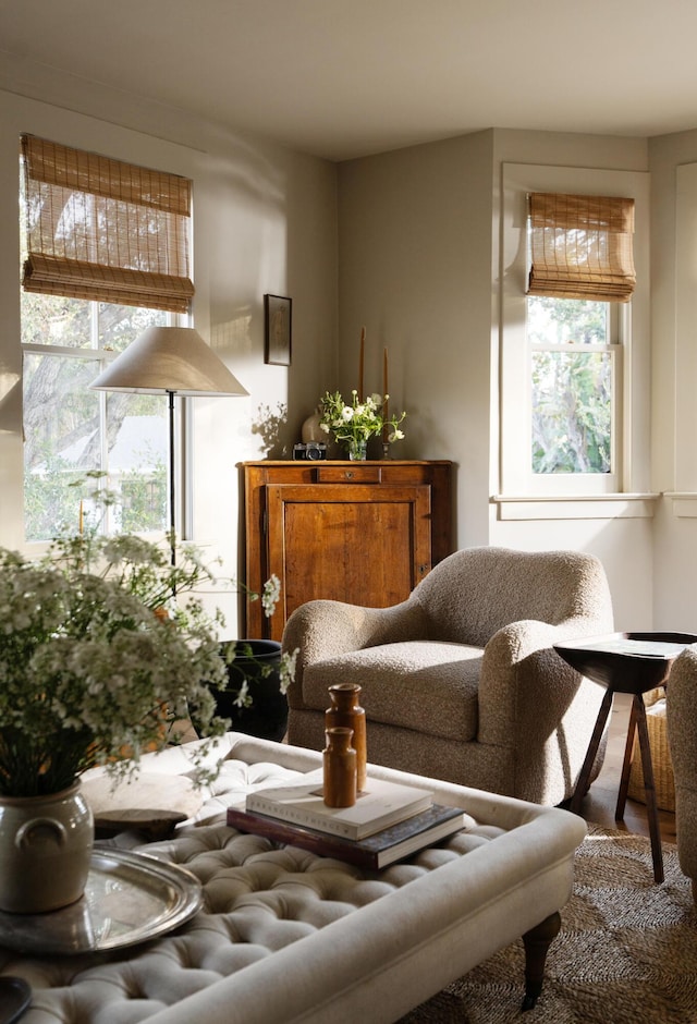 living area featuring a healthy amount of sunlight