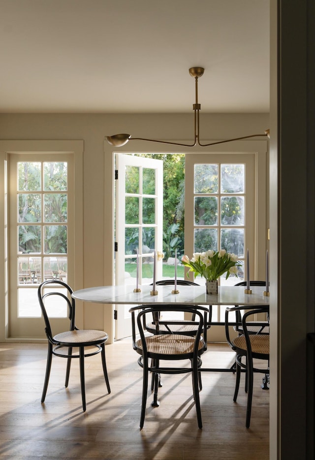 dining space featuring wood finished floors