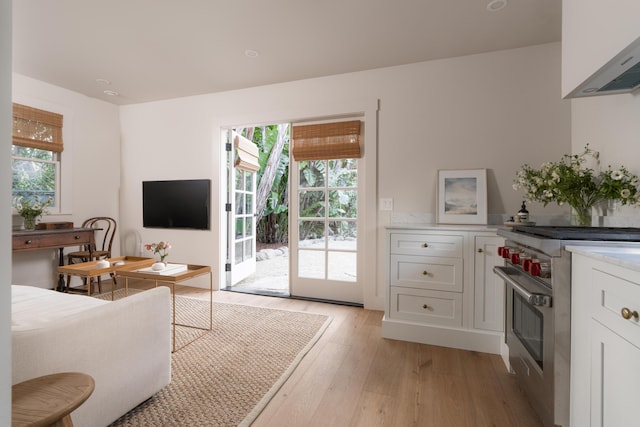 living room with light wood-style floors