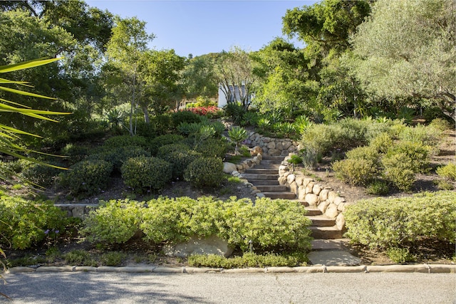 1366 Oak Creek Canyon Rd, Montecito, CA 93108 - photo 32