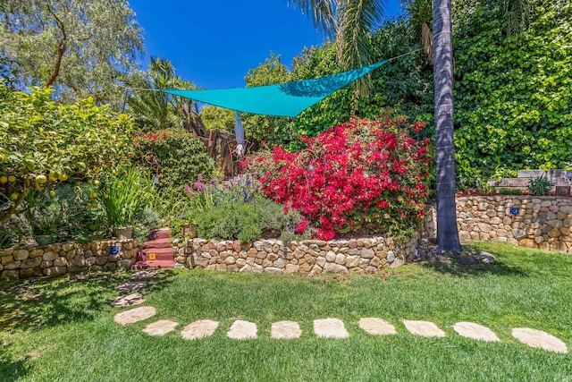 2760 Williams Way, Santa Barbara, CA 93105 - view of yard