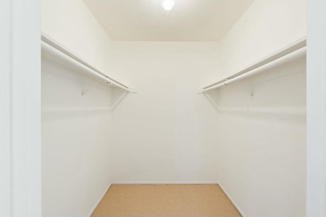 walk in closet with light colored carpet